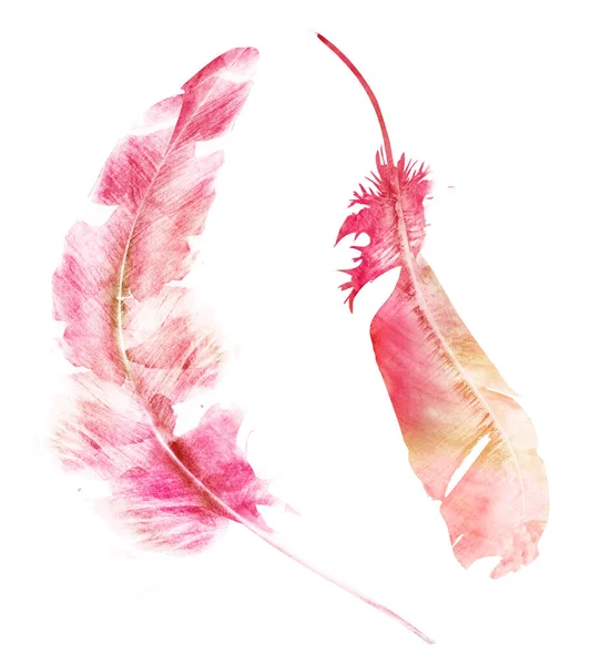 Watercolor Feather White — Stock Photo, Image