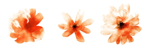 Τρία Λουλούδια Ακουαρέλας Στο Λευκό Ορισμός — Φωτογραφία Αρχείου