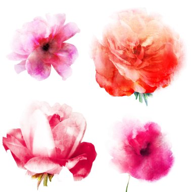 Beyaz arkaplanda suluboya doğal set