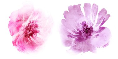 Beyaz arkaplanda suluboya doğal set