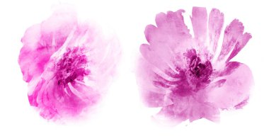 Beyaz arkaplanda suluboya doğal set