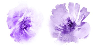 Beyaz arkaplanda suluboya doğal set