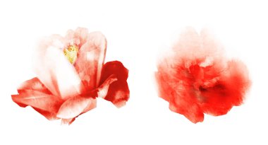 Beyaz arkaplanda suluboya doğal set