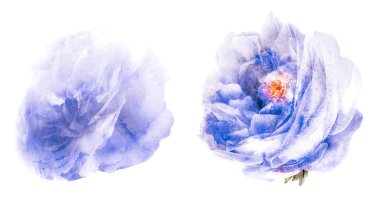 Beyaz arkaplanda suluboya doğal set