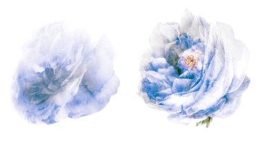 Beyaz arkaplanda suluboya doğal set