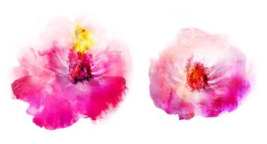 Beyaz arkaplanda suluboya doğal set