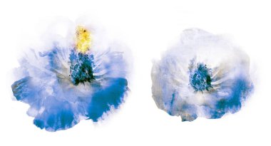 Beyaz arkaplanda suluboya doğal set