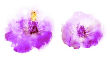 Beyaz arkaplanda suluboya doğal set