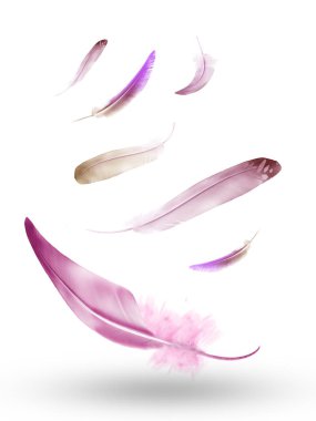 Beyaz arkaplanda izole edilmiş güzel renk tüyleri