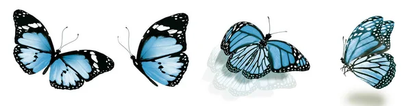 Barevné Motýly Izolované Bílém Pozadí — Stock fotografie