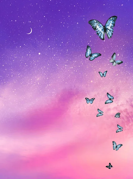 Romantischer Himmel Hintergrund Mit Schmetterlingen — Stockfoto