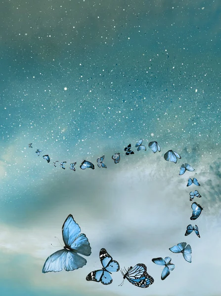 Romantische Hemel Achtergrond Met Vlinders — Stockfoto