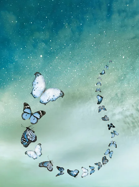 Fondo Romántico Del Cielo Con Mariposas — Foto de Stock