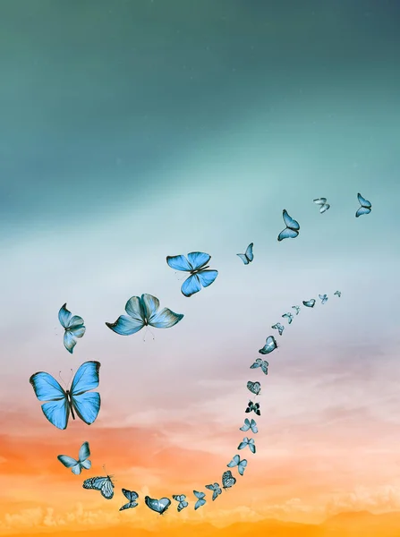 有蝴蝶的浪漫的天空背景 — 图库照片