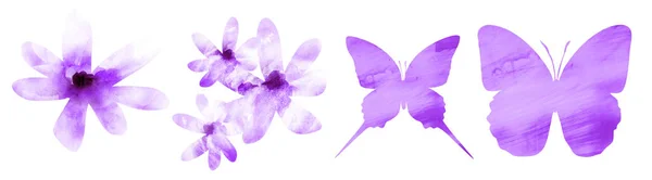 Quatre Fleurs Aquarelles Des Papillons Sur Blanc Ensemble — Photo