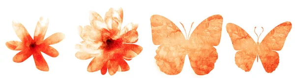 Vier Aquarellblumen Und Schmetterlinge Auf Weiß Eingestellt — Stockfoto