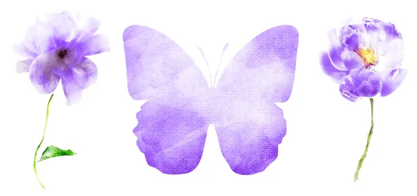 Watercolor Flowers Butterfly Isolated White Background — Stock Photo, Image