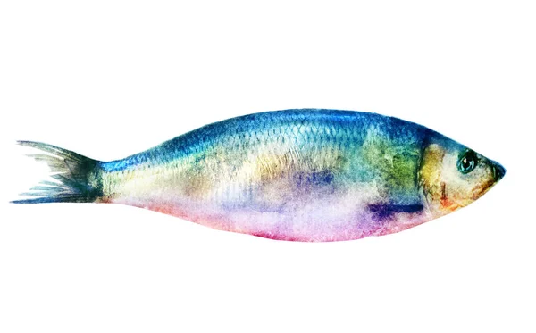 Peixe Aquarela Branco — Fotografia de Stock