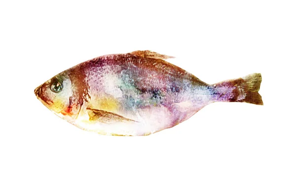 Peixe Aquarela Branco — Fotografia de Stock