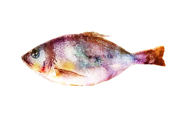 Ψάρια Ακουαρέλας Λευκό — Φωτογραφία Αρχείου