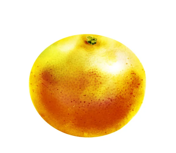 白色背景的水色柑橘 — 图库照片