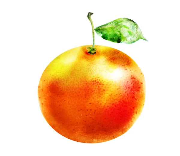 Watercolor Apple White Silhouette — Stock Photo, Image