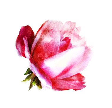 Beyaz renkte suluboya çiçek. Siluet 