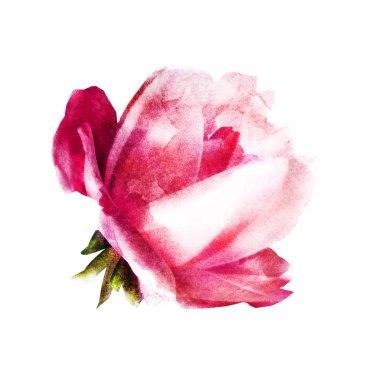 Beyaz renkte suluboya çiçek. Siluet 