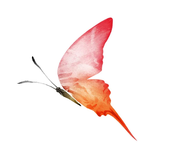 Watercolor Butterfly Isolated White Background — Stock Photo, Image