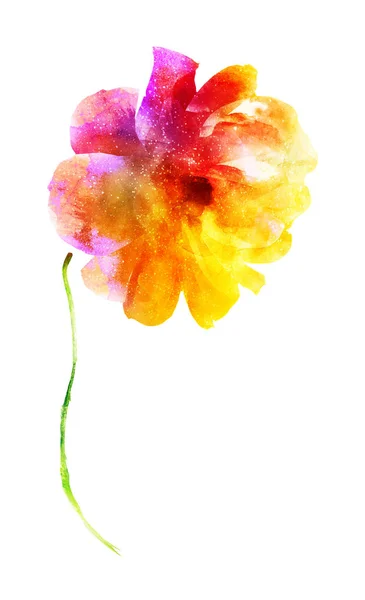 白に孤立した水色の花 シルエット — ストック写真