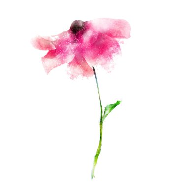 Beyaz renkte suluboya çiçek. Siluet 