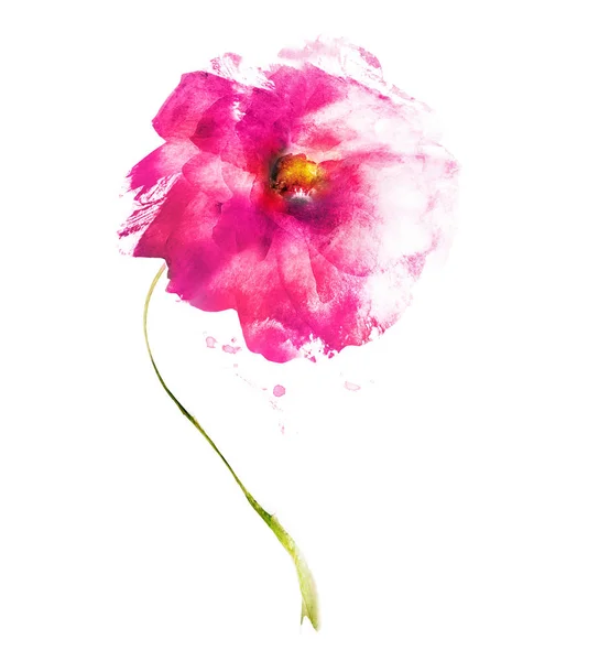 Aquarelle Fleur Isolée Sur Blanc Silhouette — Photo