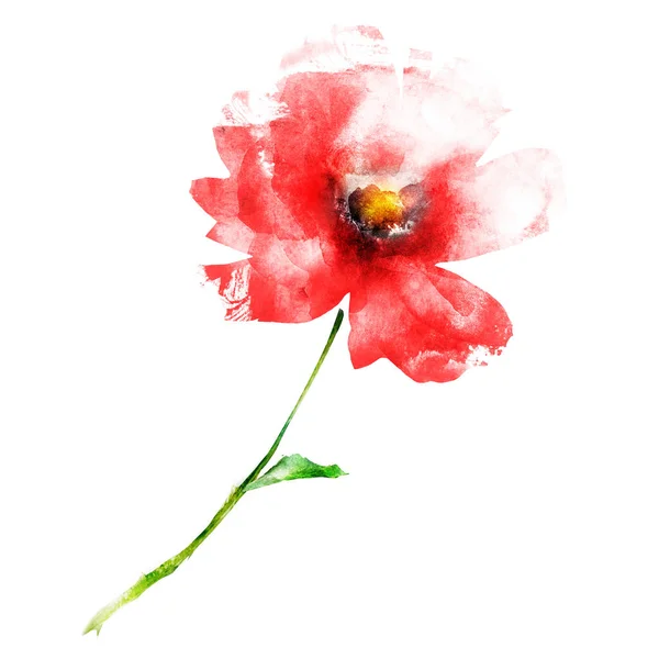 Watercolor Flower Isolated White Silhouette — Stock Photo, Image