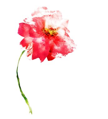 Beyaz renkte suluboya çiçek. Siluet 