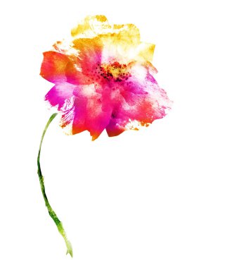 Beyaz renkte suluboya çiçek. Siluet 