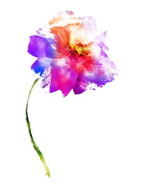 Beyaz renkte suluboya çiçek. Siluet 