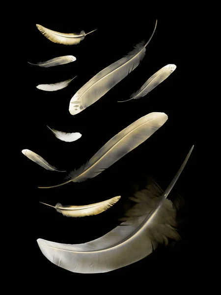 Beautiful color feathers isolated on black background — Stock Photo, Image