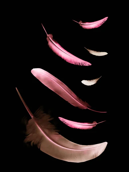 Beautiful color feathers isolated on black background — Stock Photo, Image