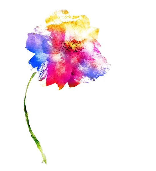 Акварельный Цветок Изолирован Белом Силуэт — стоковое фото