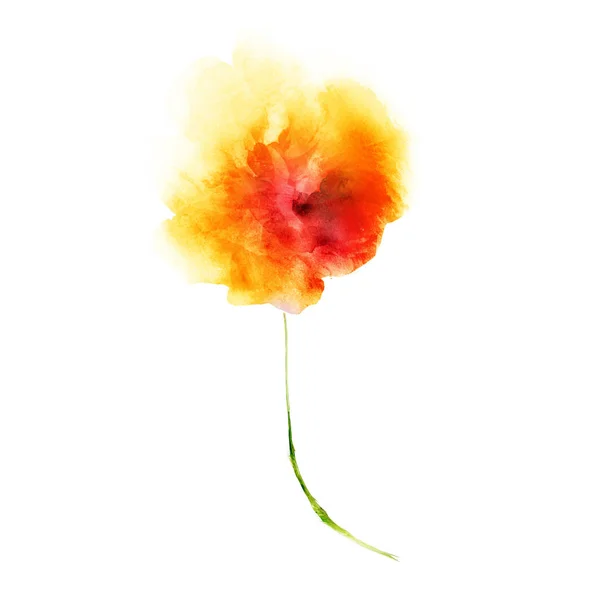 Aquarell Blume Isoliert Auf Weiß Silhouette — Stockfoto