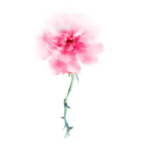 Watercolor Flower Isolated White Silhouette — Stock Photo, Image