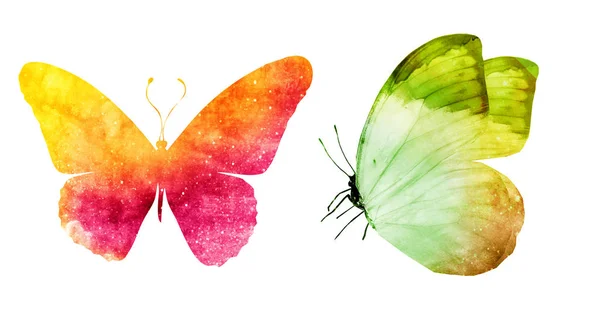 Two watercolor butterflies , isolated on white background — Stock Photo, Image