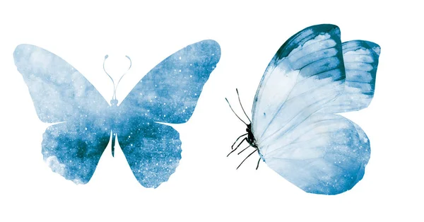 Deux papillons aquarelle, isolés sur fond blanc — Photo