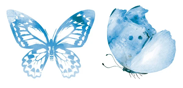 Két akvarell pillangók, elszigetelt fehér háttér — Stock Fotó
