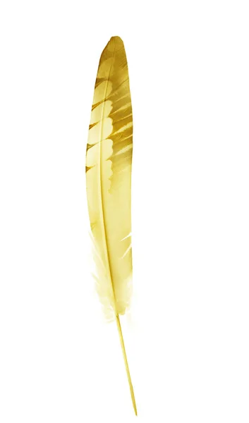 Beautiful color feather isolated on white background — Stock Photo, Image