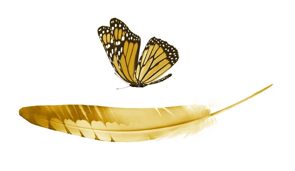 Decorative Golden Butterflies In A Flock Stock Illustration - Download  Image Now - Butterfly - Insect, Gold - Metal, Gold Colored - iStock