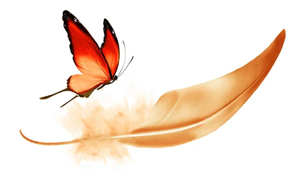 白い背もたれに隔離された美しい色の羽と蝶 — ストック写真