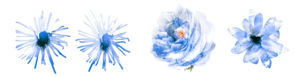 Aquarellblumen auf Weiß. eingestellt — Stockfoto