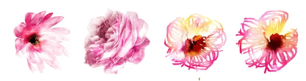 Aquarel bloemen op wit. Reeks — Stockfoto