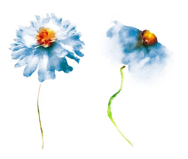 Λουλούδια ακουαρέλας, απομονωμένα σε λευκό φόντο — Φωτογραφία Αρχείου